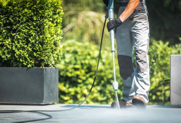 Solar Panel Cleaning in Las Lomas, CA